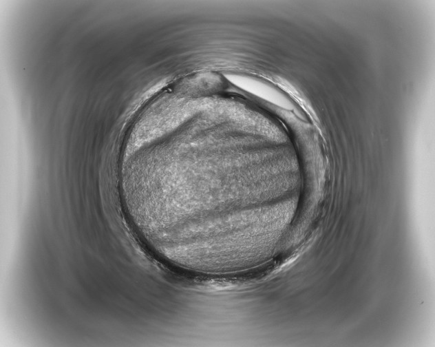 X0000084530481200703161611