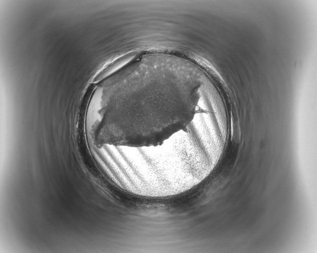 X0000084530483200703161611