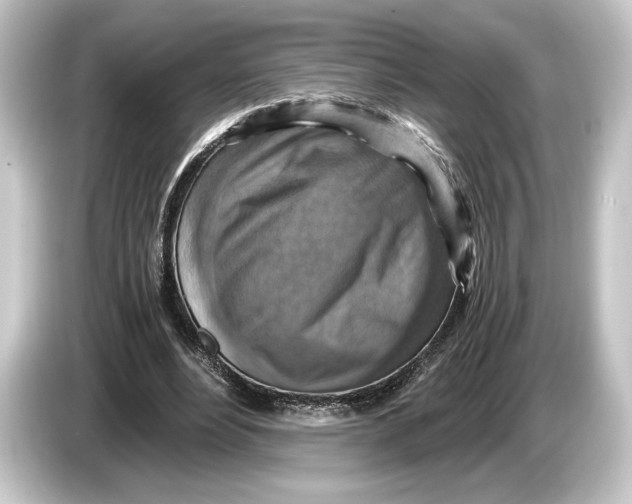 X0000084530488200703161611