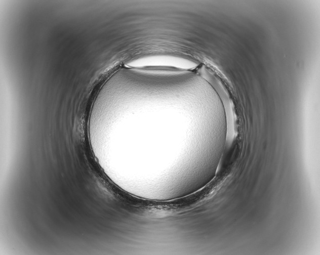 X0000084530489200703161611