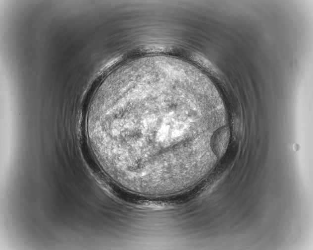 X0000084530490200703161611