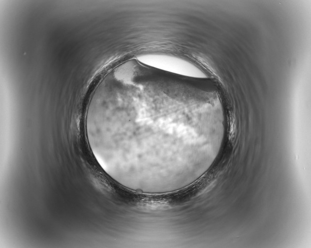 X0000084530491200703161611