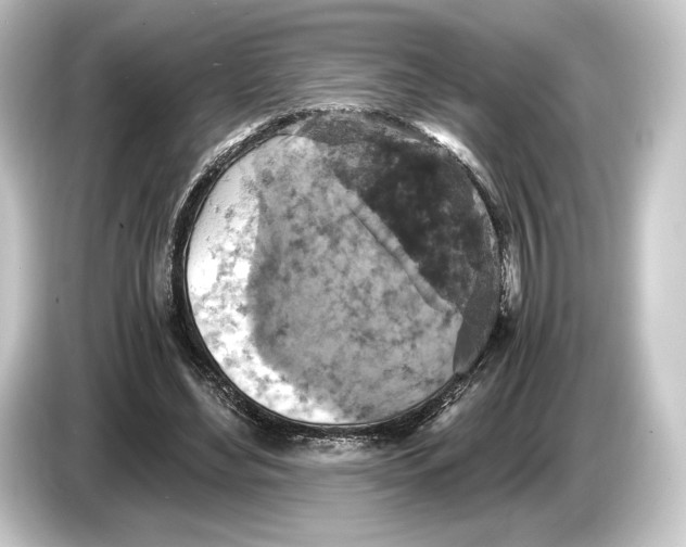 X0000084530492200703161611