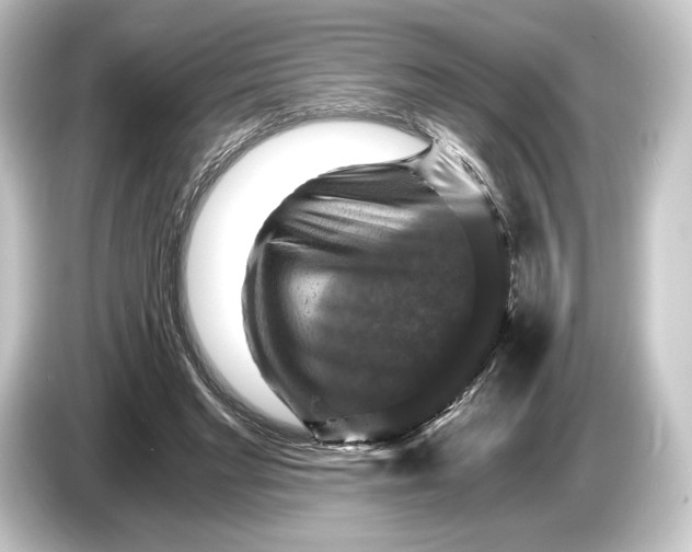 X0000084530493200703161611