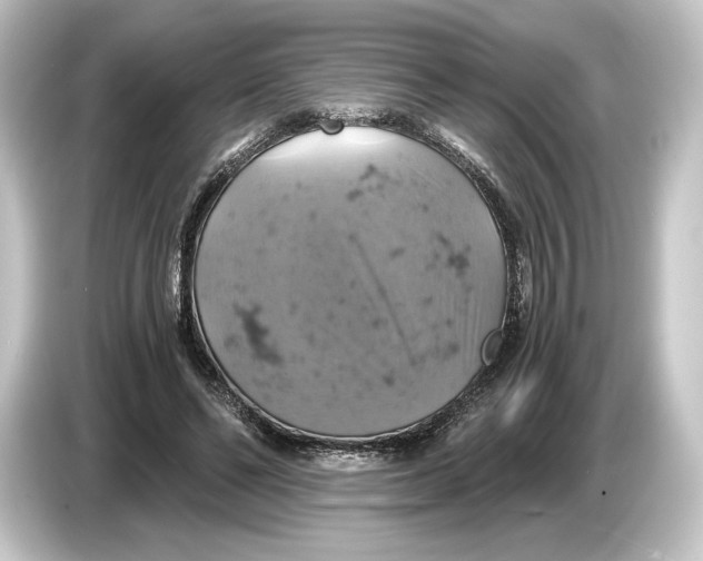 X0000084530494200703161611