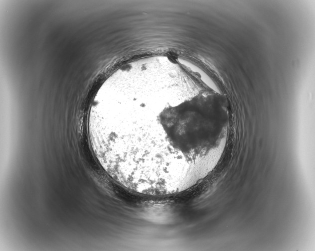 X0000084530495200703161611