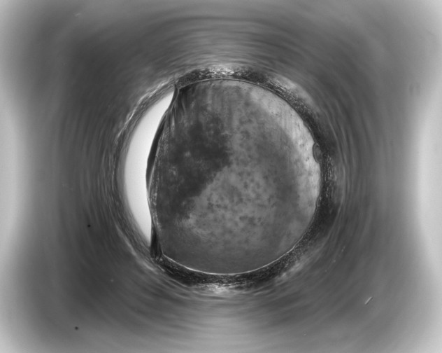 X0000084530496200703161611