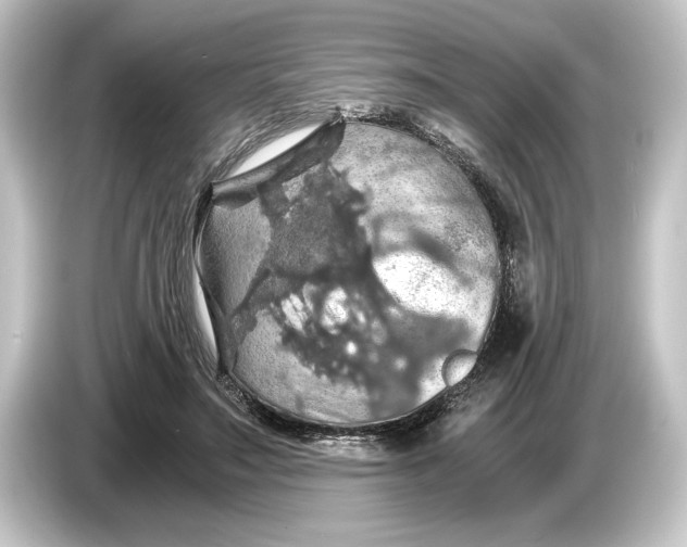 X0000084530499200703161611