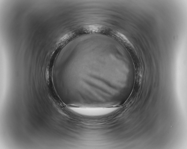 X0000084530500200703161611