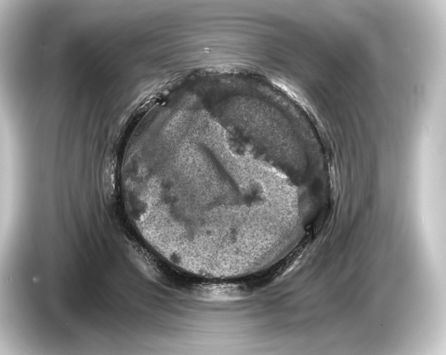 X0000084530501200703161611