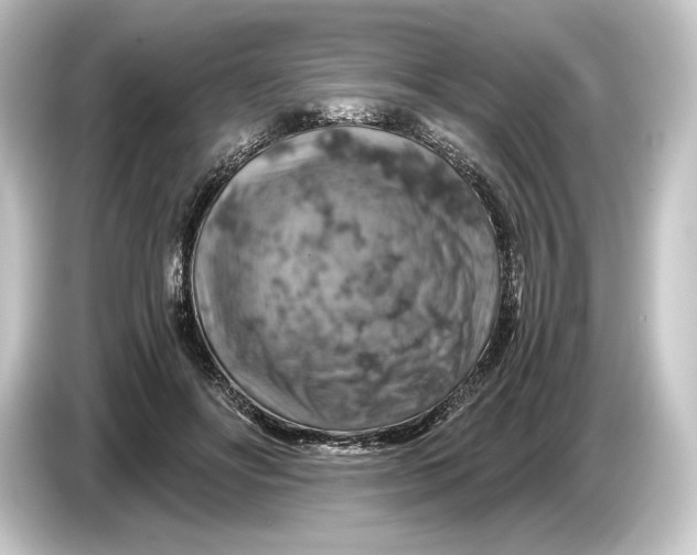 X0000084530502200703161611