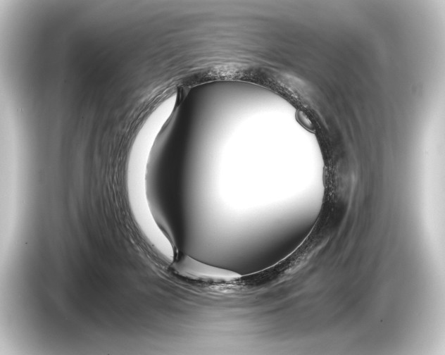 X0000084530505200703161611