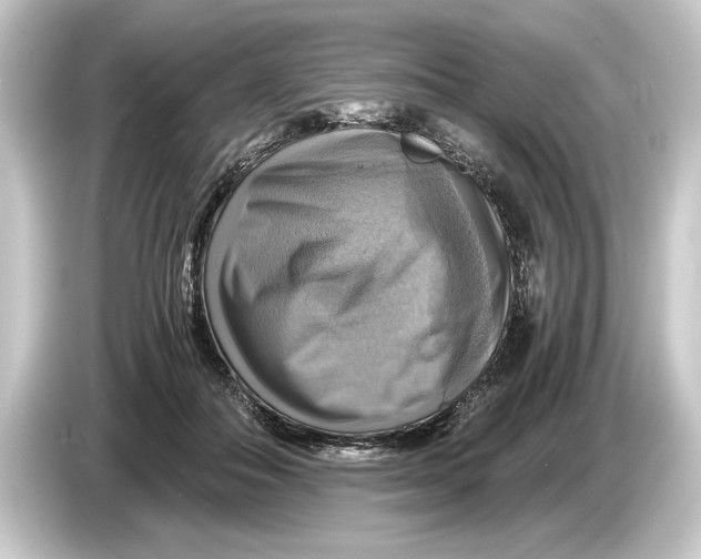 X0000084530506200703161611