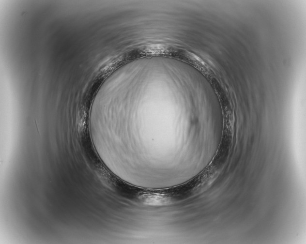 X0000084530507200703161611