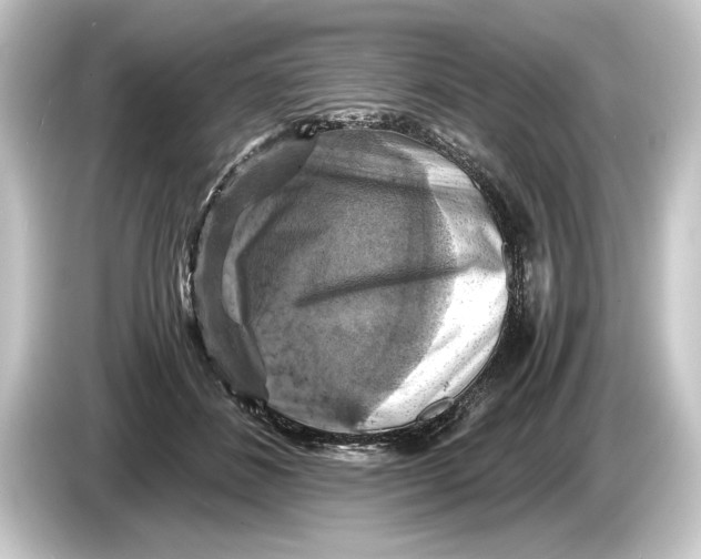 X0000084530508200703161611