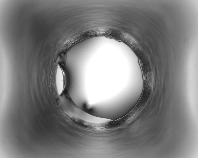 X0000084530509200703161611