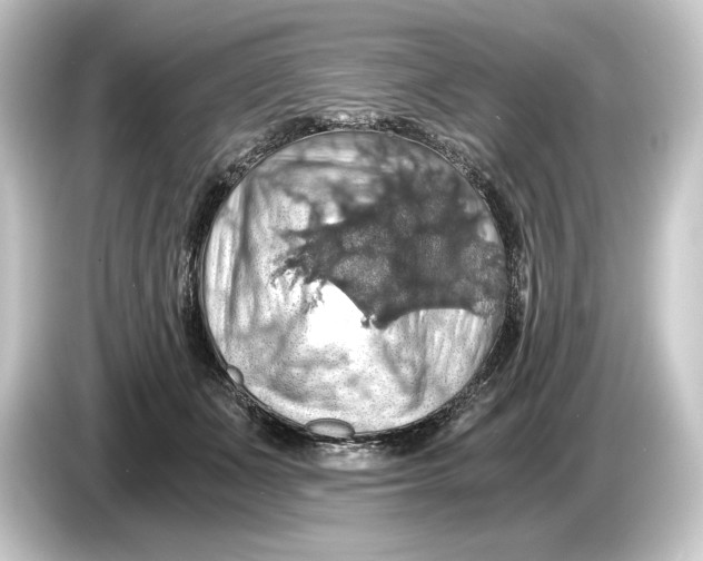 X0000084530511200703161611