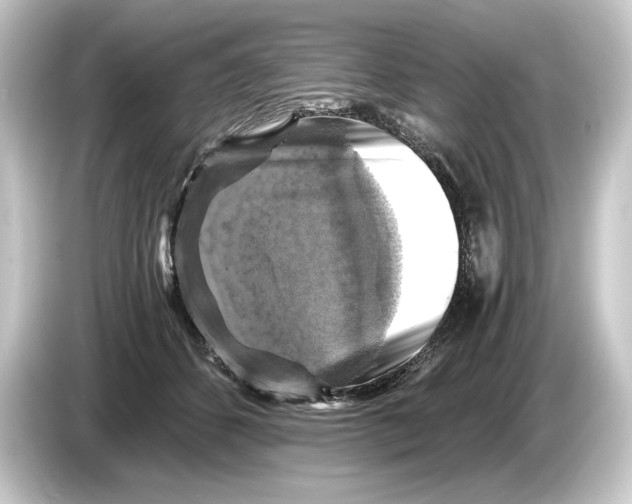 X0000084530512200703161611