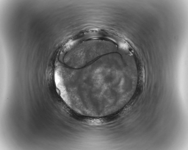 X0000084530513200703161611