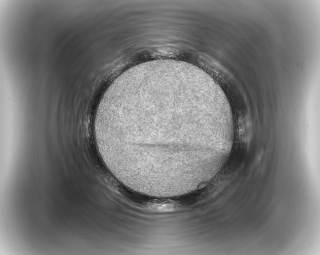 X0000084530514200703161611