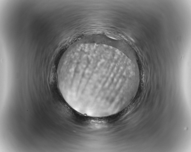 X0000084530515200703161611