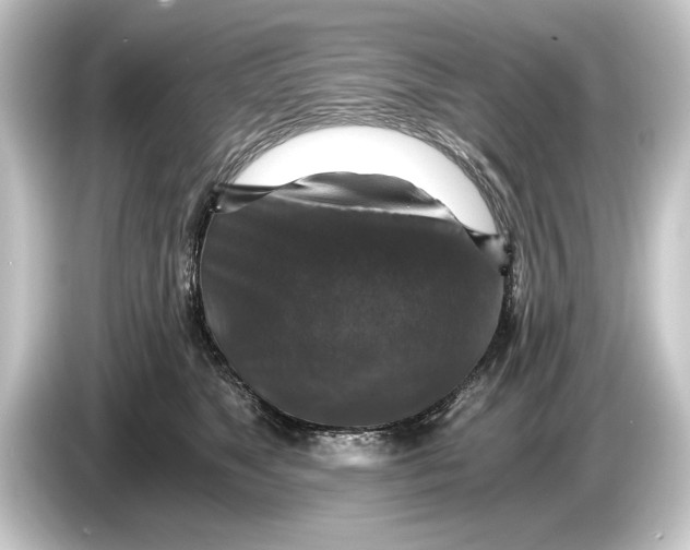 X0000084530517200703161611