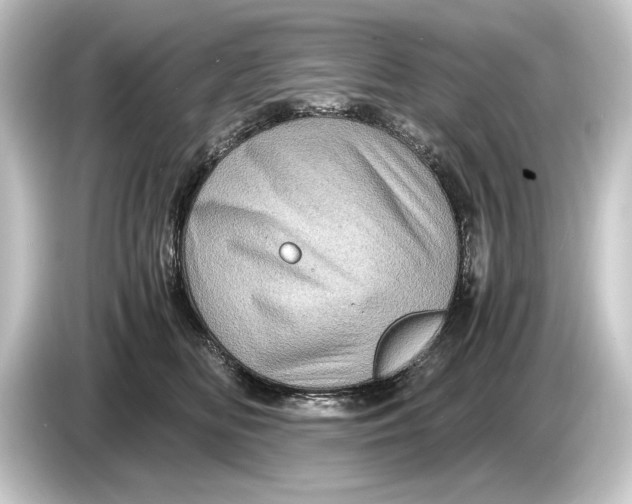 X0000084530518200703161611