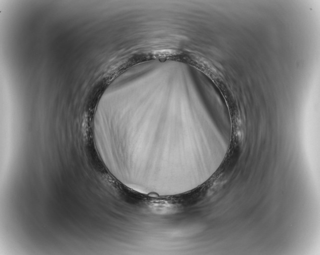 X0000084530519200703161611