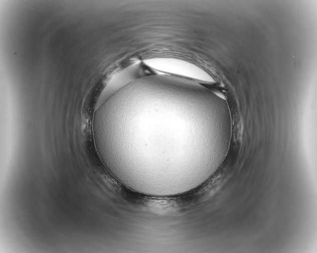 X0000084530521200703161611