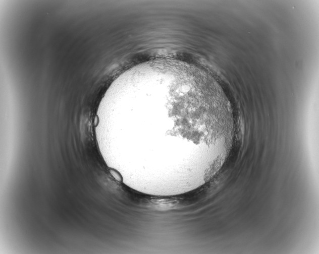 X0000084530522200703161611