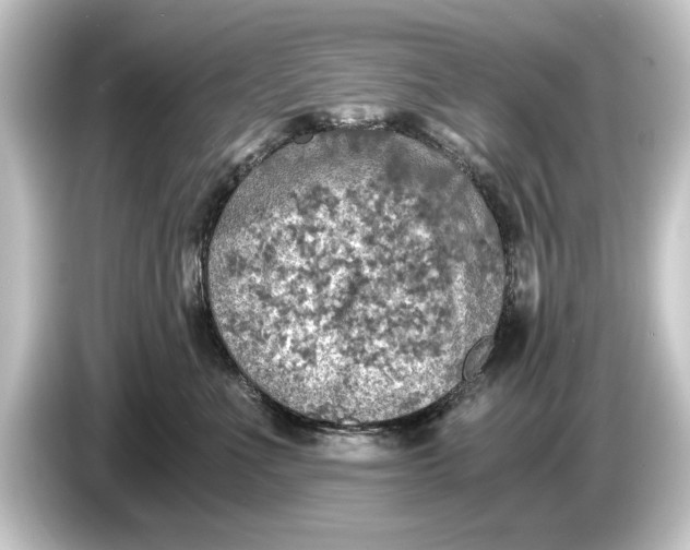 X0000084530523200703161611