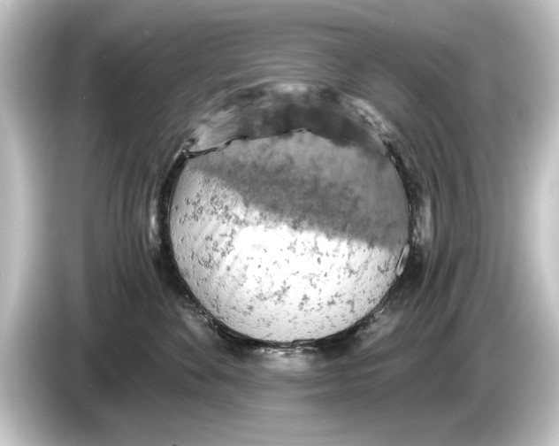 X0000084530524200703161611