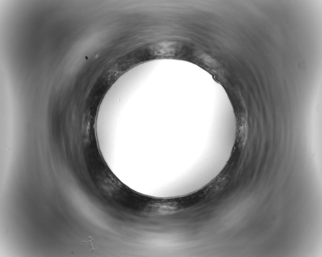 X0000084530525200703161611