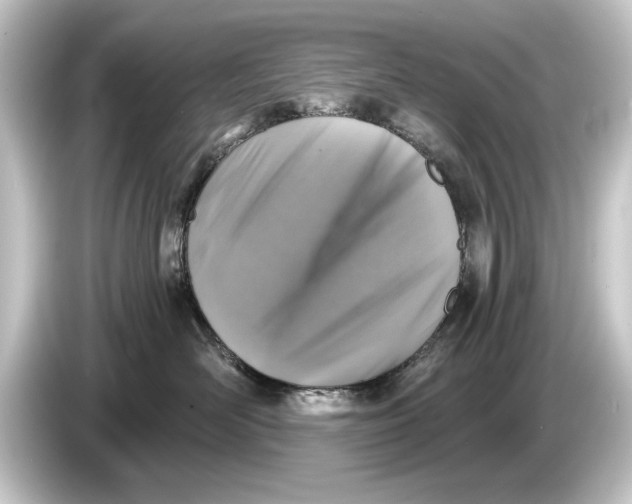 X0000084530526200703161611