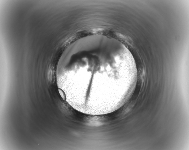 X0000084530527200703161611