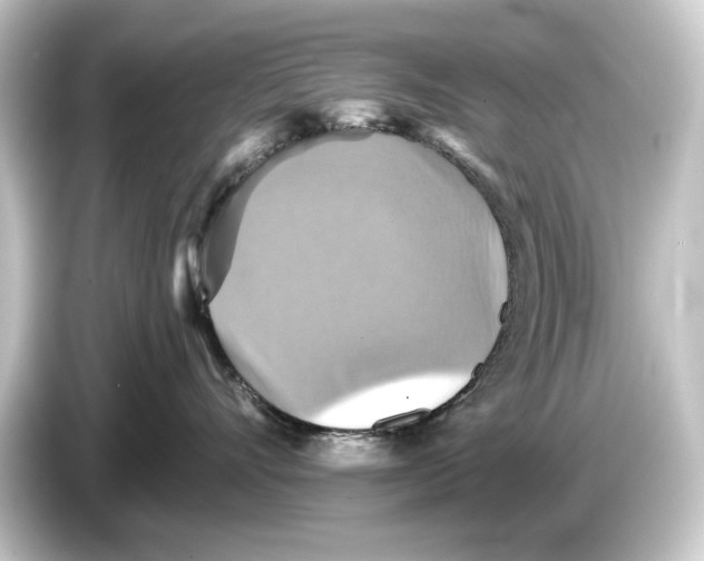 X0000084530528200703161610