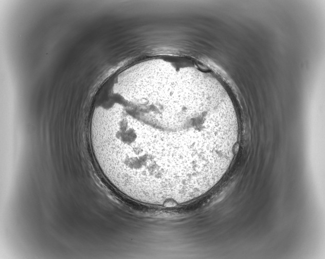 X0000084530529200703161610