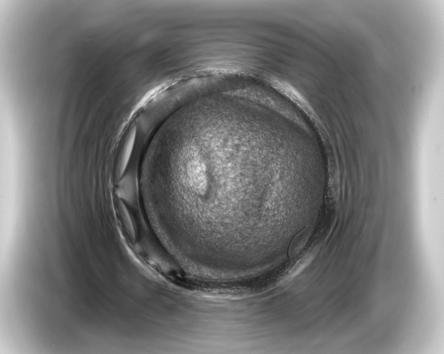 X0000084530530200703161610