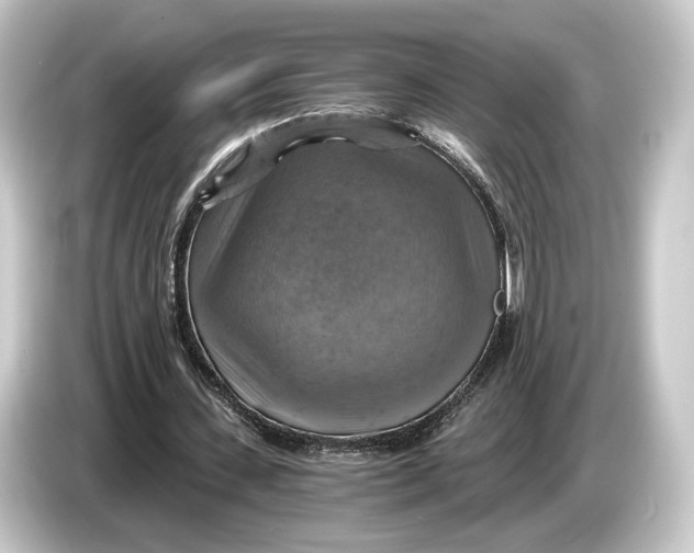 X0000084530531200703161610