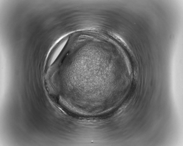 X0000084530532200703161610