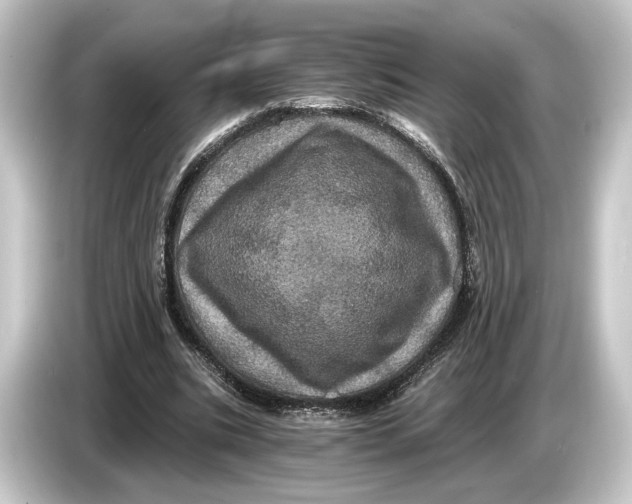 X0000084530535200703161610