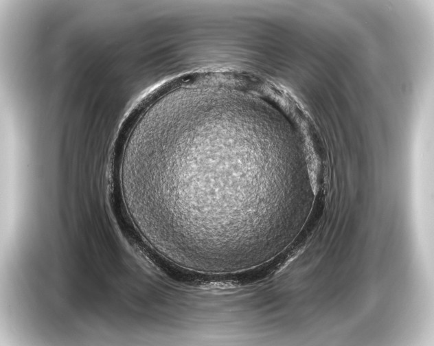 X0000084530536200703161610