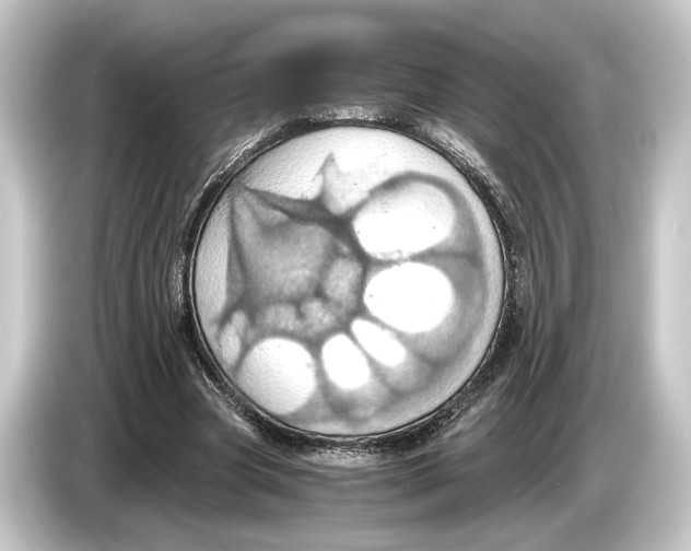 X0000084530537200703161610