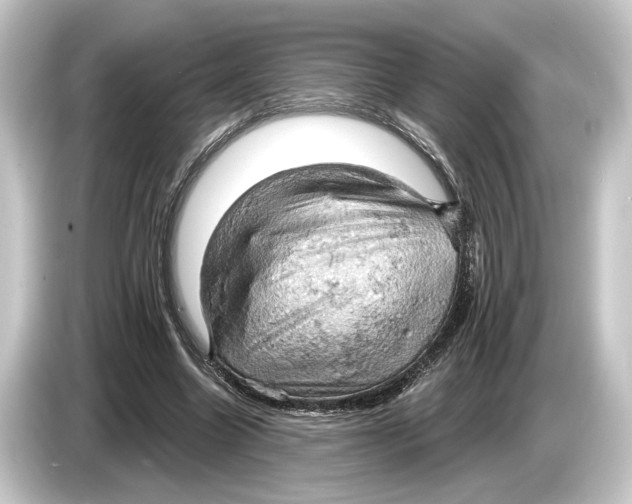 X0000084530538200703161610