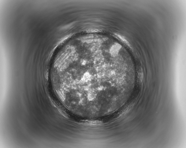 X0000084530539200703161610