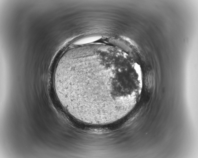 X0000084530540200703161610