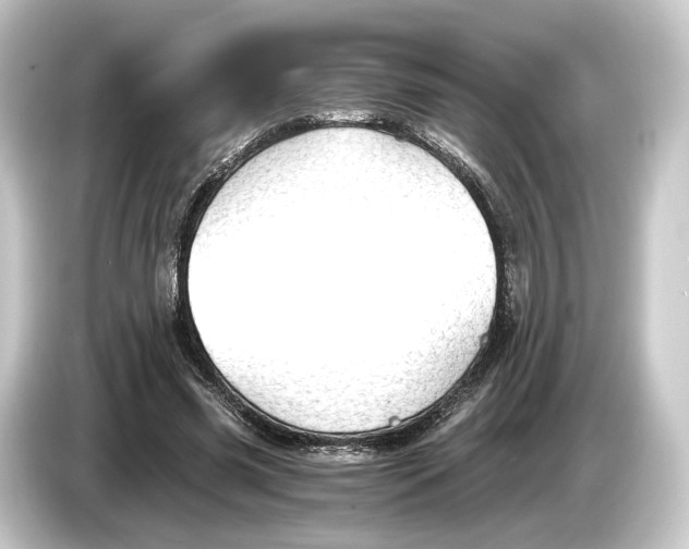 X0000084530541200703161610