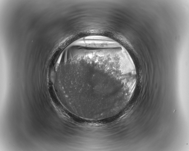 X0000084530542200703161610