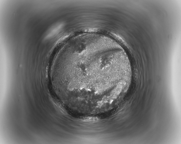 X0000084530543200703161610