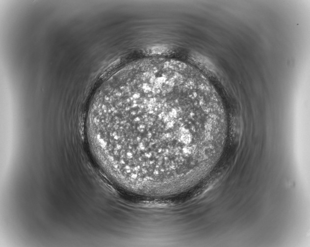 X0000084530545200703161610